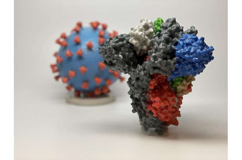 A 3D print of a spike protein of SARS-CoV-2, the virus that causes COVID-19, in front of a 3D print of a SARS-CoV-2 virus partic