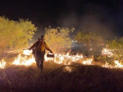 Accelerated drying increases potential wildfire ignitions statewide