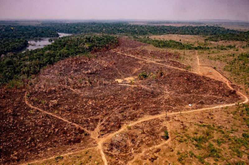 A handout picture released by the Communication Department of the State of Mato Grosso shows deforestation in the Amazon basin i