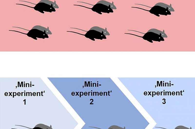 Animal-based research: New experimental design for an improved reproducibility