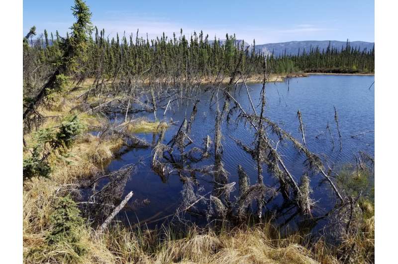 Arctic permafrost thaw plays greater role in climate change than previously estimated