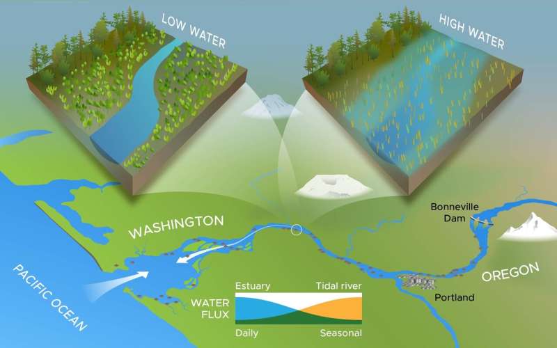 A watershed study for wetland restoration