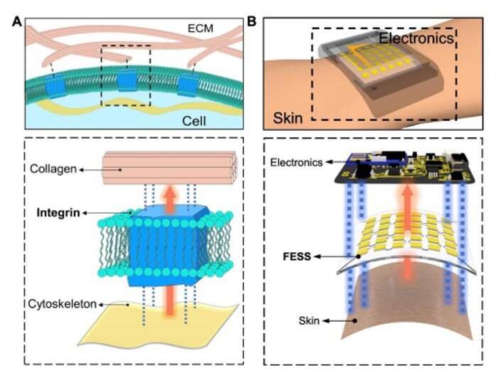 A wearable freestanding electrochemical sensing system