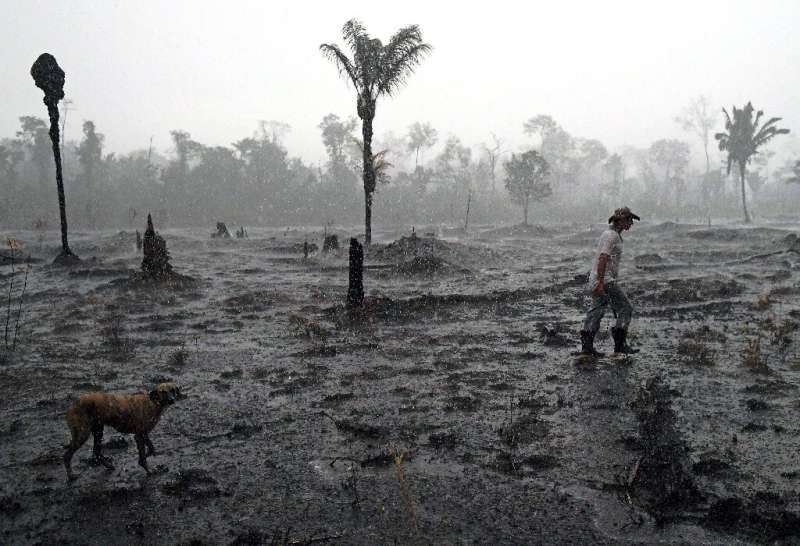 Brazilian farmer Helio Lombardo Do Santos walks through a burned area of the Amazon rainforest near Porto Velho, Rondonia state 
