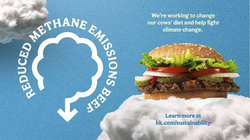 Burger King addresses climate change by changing cows' diets