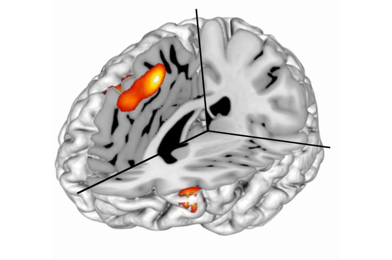 Calculated surprise leads to groundbreaking discovery in cognitive control research