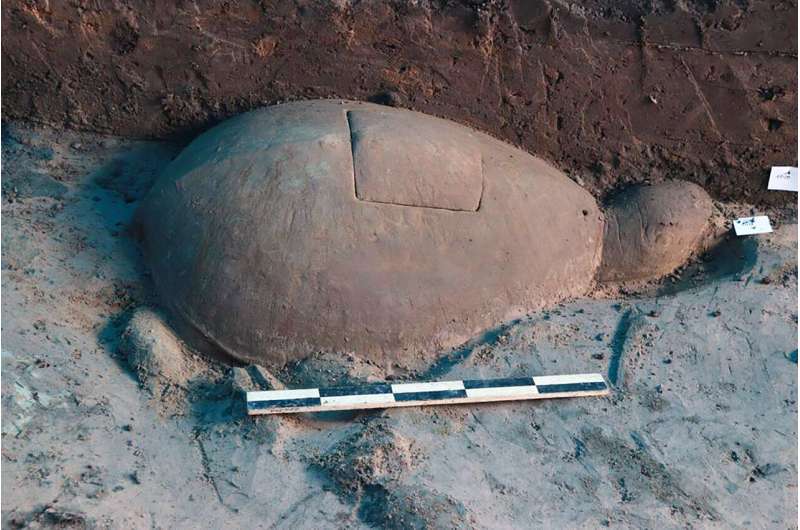 Carved stone turtle unearthed from Angkor reservoir site