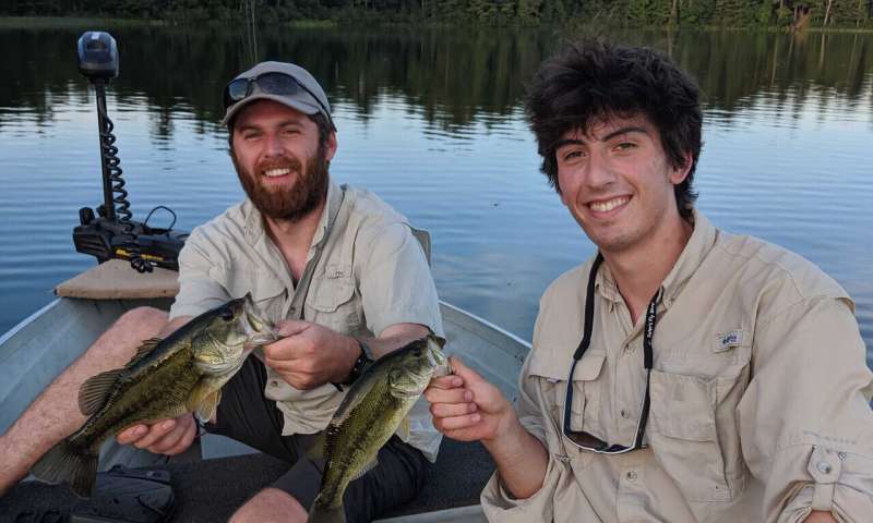 Catch rate is a poor indicator of lake fishery health