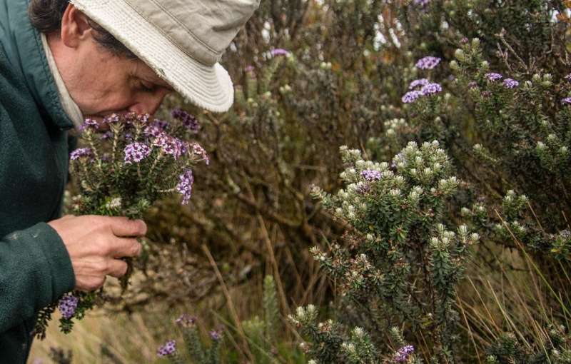 Colombian botanist Julio Betancur  documents all the plants he collects in a book of the South American country's vast biodivers