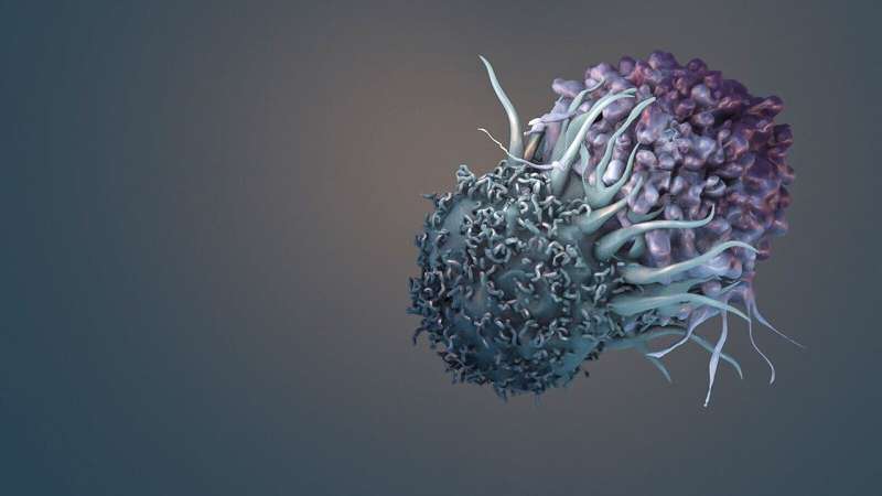 Computing empowers immune cells to kill cancer
