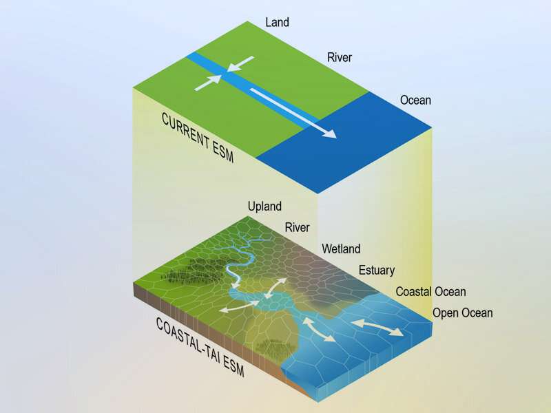 Connecting coastal processes with global systems
