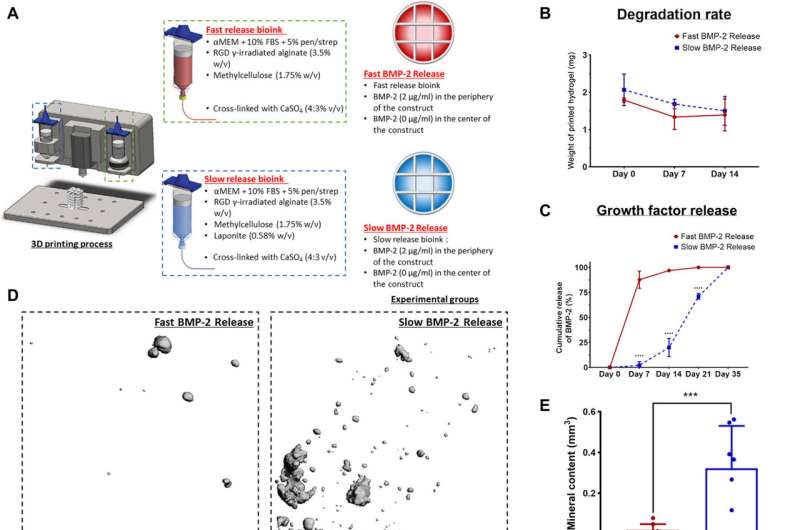 Controlled tissue regeneration with 3-D bioprinted spatiotemporally defined patterns of growth factors.