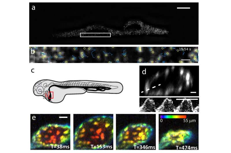 Converting lateral scanning into axial focusing to speed up 3D microscopy