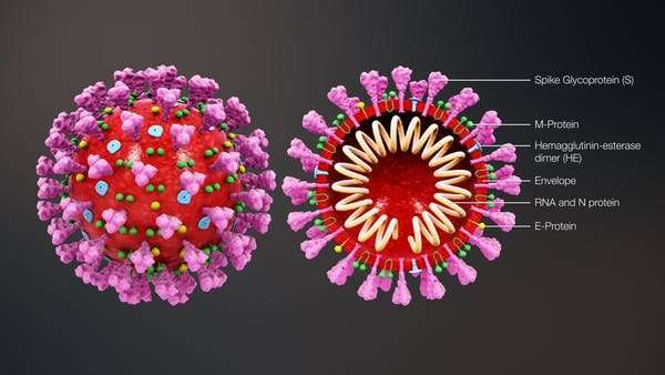 Coronavirus: BMJ study suggests 78% don't show symptoms – here's what that could mean