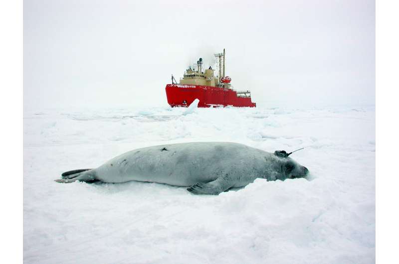Crabeater seal data used to predict changes in Antarctic krill distribution