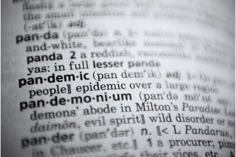 Dictionary companies choose same word of the year: pandemic