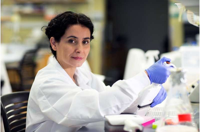 Diet, gut microbes affect effectiveness of cancer treatment, research reveals