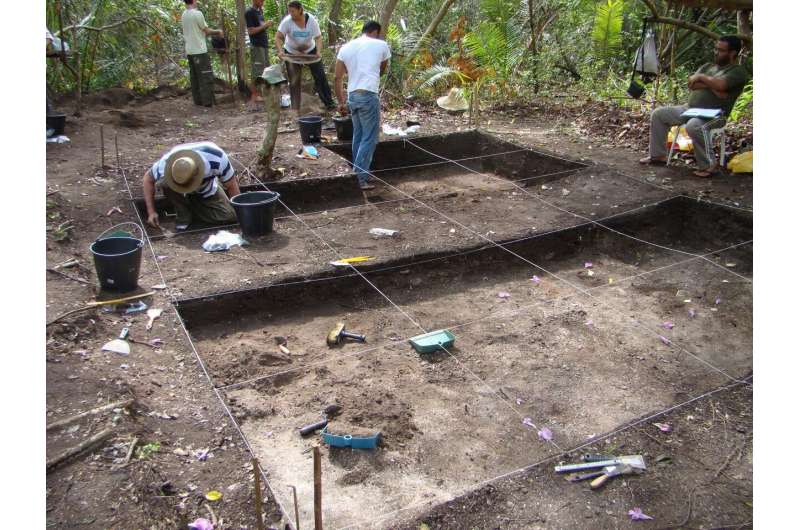 Diet of pre-Columbian societies in the Brazilian Amazon reconstructed