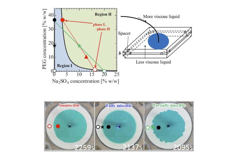 Discovery of a new liquid-liquid interfacial deformation by partial miscibility