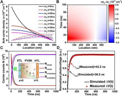 Electrical Transients Quantify Charge Loss in Solar Cells