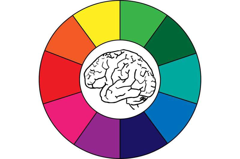 Envision color: Activity patterns in the brain are specific to the color you see