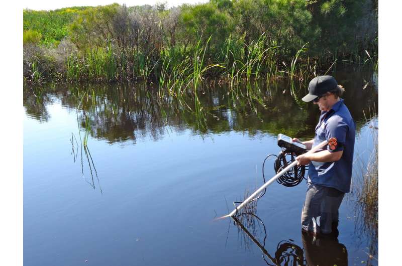 Estuaries are warming at twice the rate of oceans and atmosphere