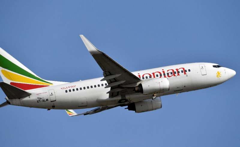Ethiopian Airlines is fighting to stay in the skies, its CEO tells AFP