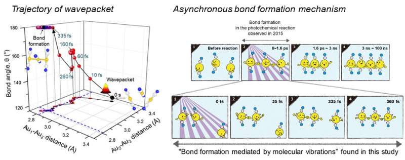 Every moment of ultrafast chemical bonding now captured on film