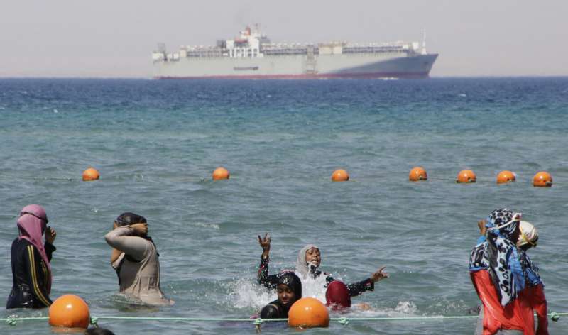 Experts say Med Sea altered by Suez Canal's invasive species