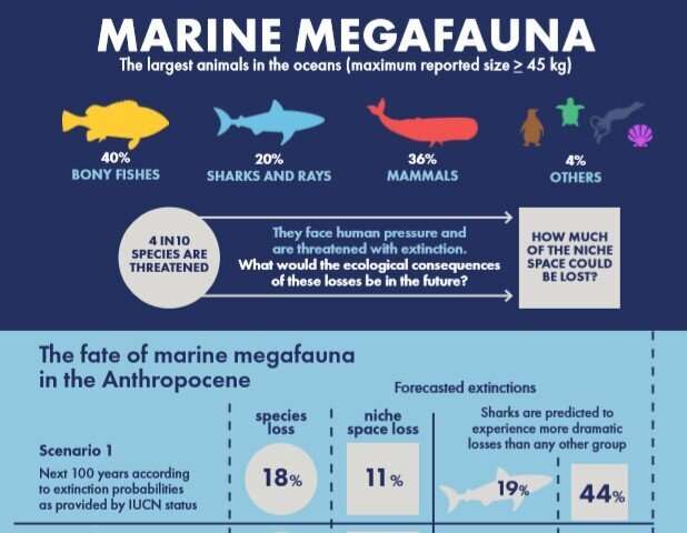 Extinction of threatened marine megafauna would lead to huge loss in functional diversity