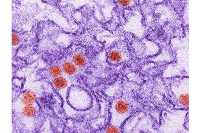 Fat-Based Molecules are Key to Zika Virus Infection