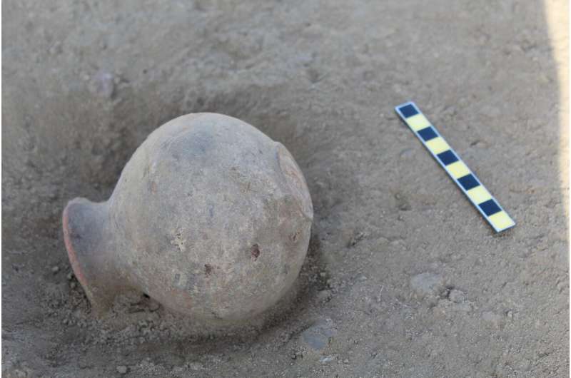 Fatty residues on ancient pottery reveal meat-heavy diets of Indus Civilization