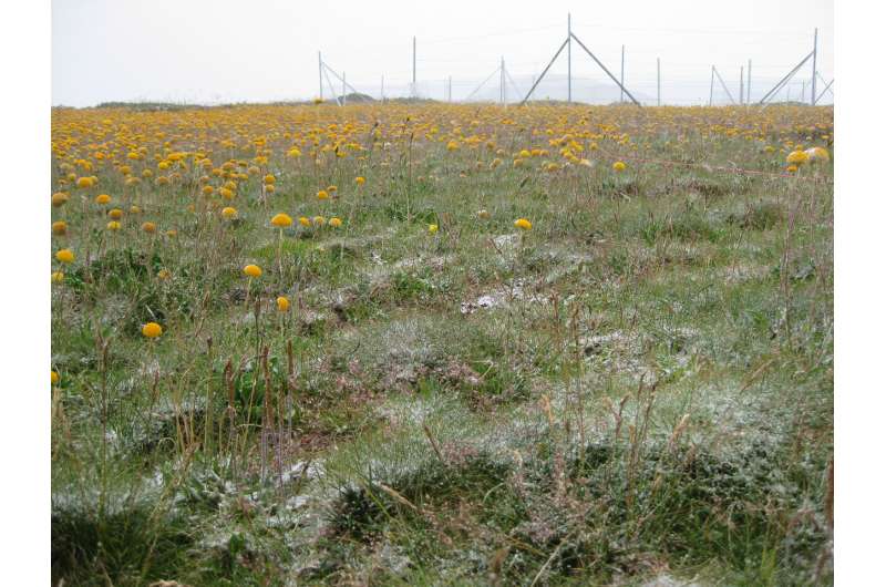 Fertilization threatens grassland stability