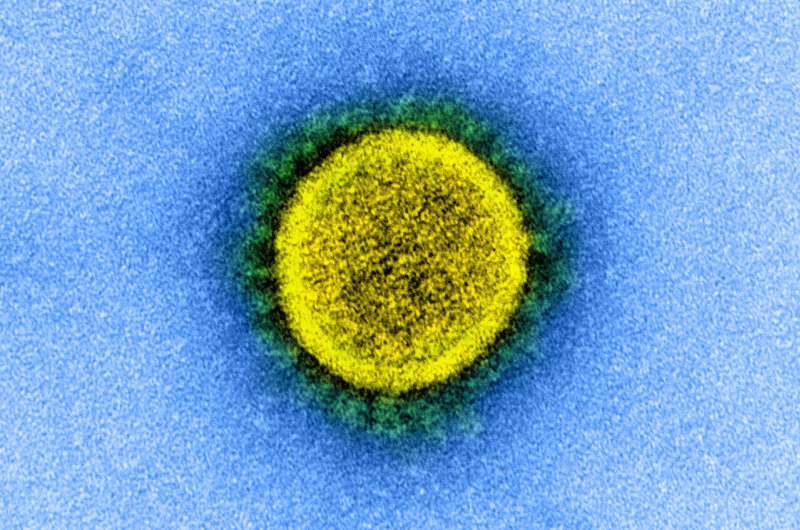 کووید-19، ویروس کرونا