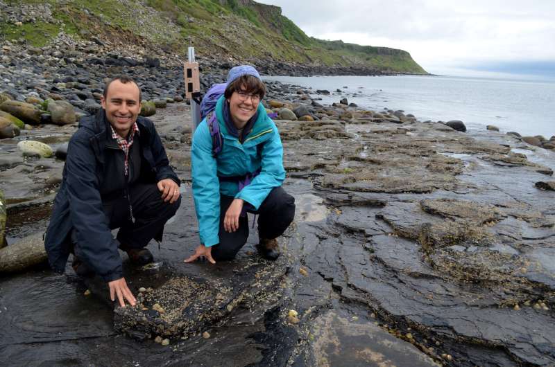 Fossil footprints show stegosaurs left their mark on Scottish isle