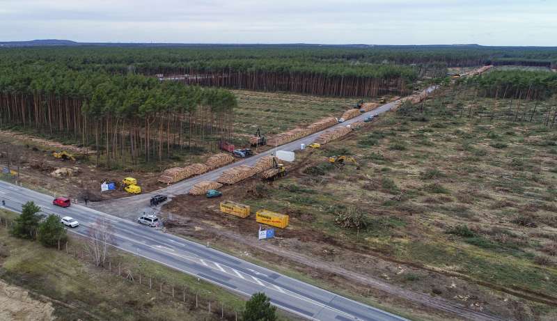 German court says Tesla can fell trees at site of new plant