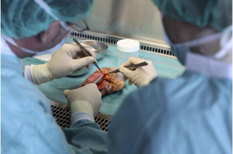 German parliament votes against new system for organ donors