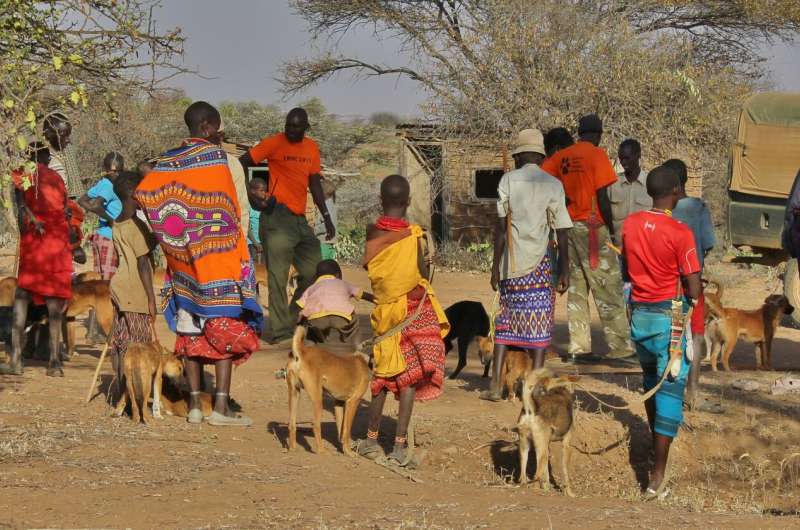 Grassroots dog vaccinations can help stop rabies, but not alone