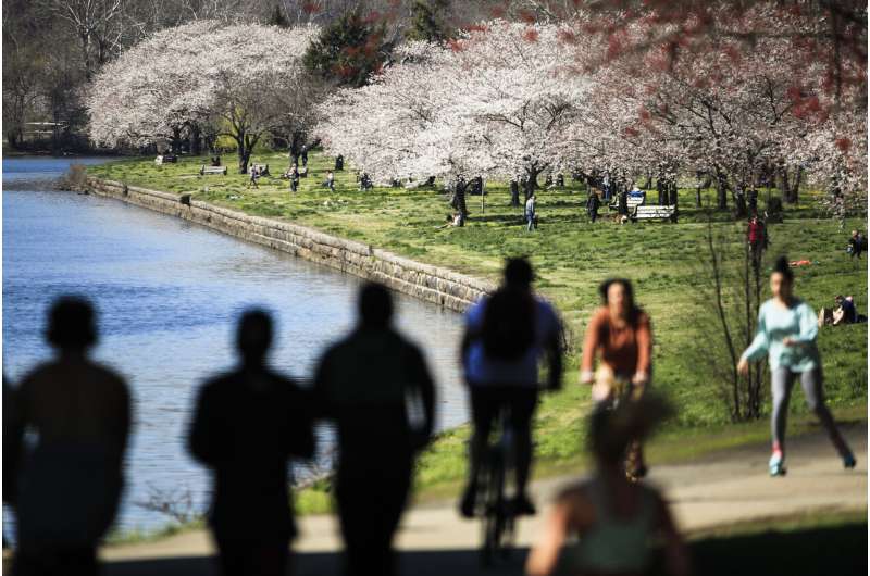 Hay fever or virus? For allergy sufferers, a season of worry