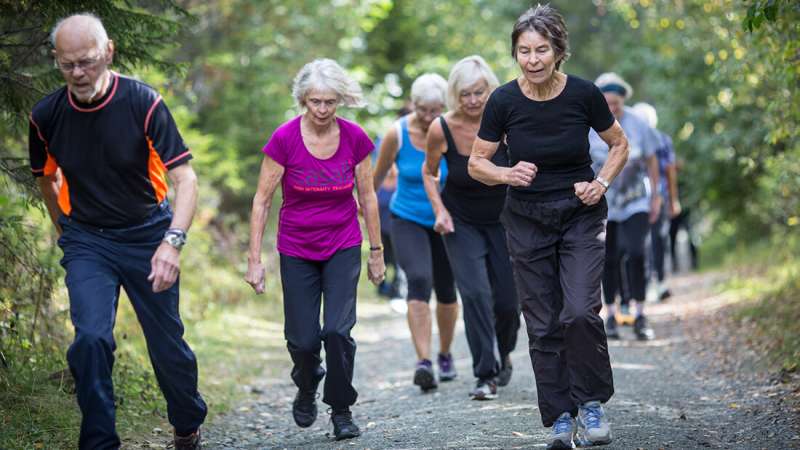 High intensity training best for older people