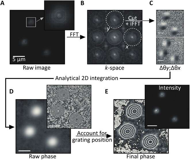 Holographic fluorescence imaging to 3-D track extracellular vesicles