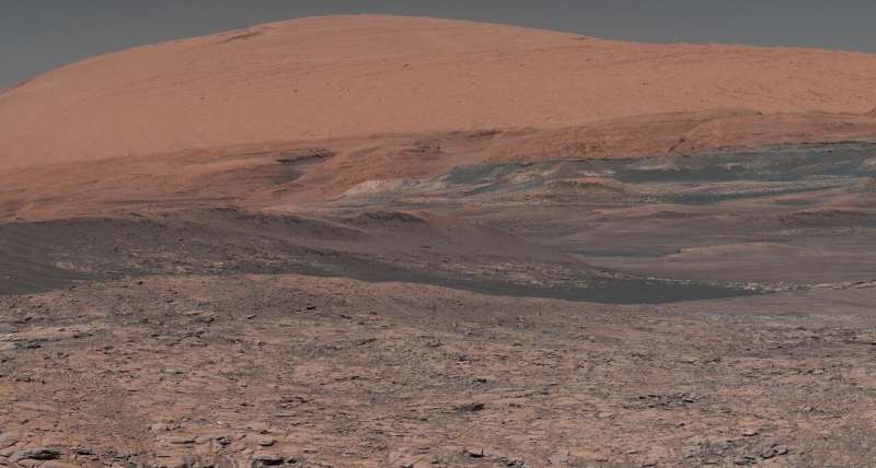 How life on Earth could help us find life on Mars