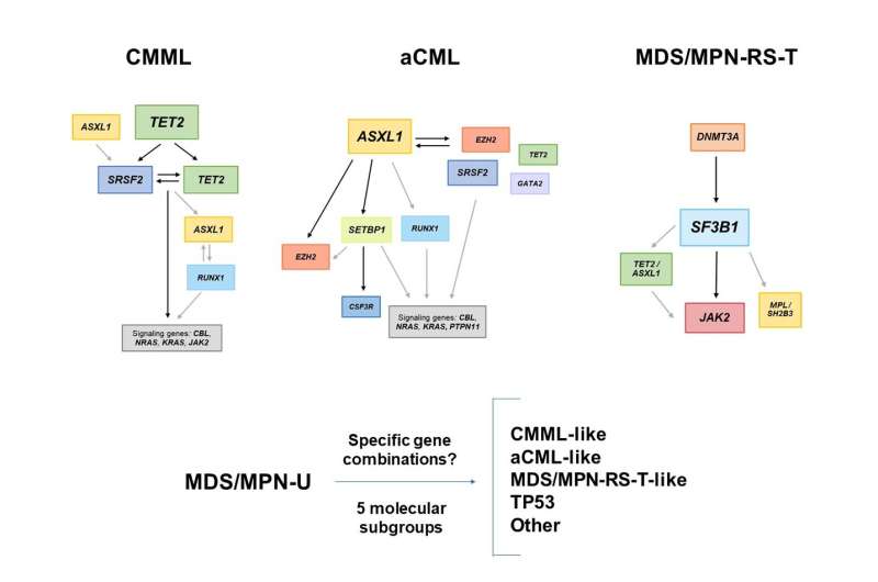 Identified the genetic landscape of myelodysplastic/myeloproliferative neoplasms