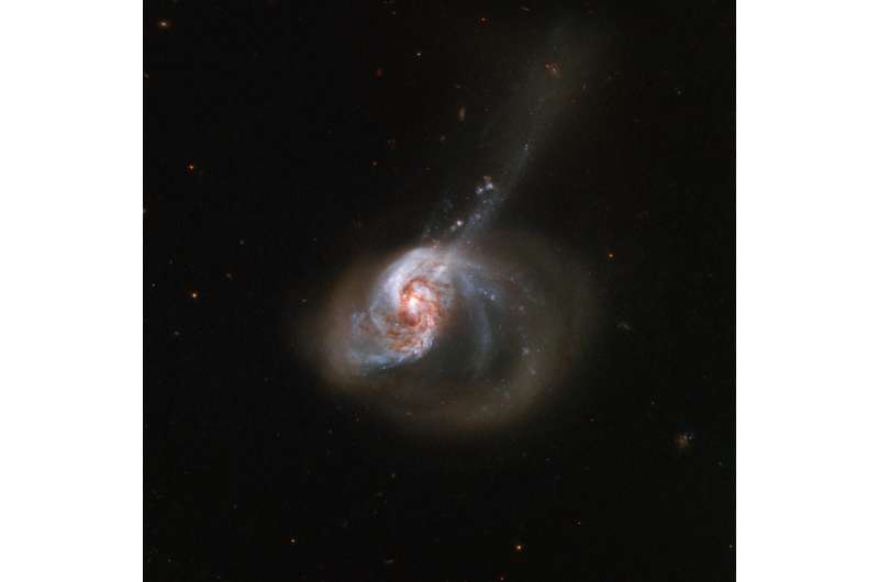 Image: Hubble captures eccentrically shaped NGC 1614 galaxy