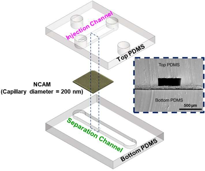 Improving cancer diagnostics through microfluidics