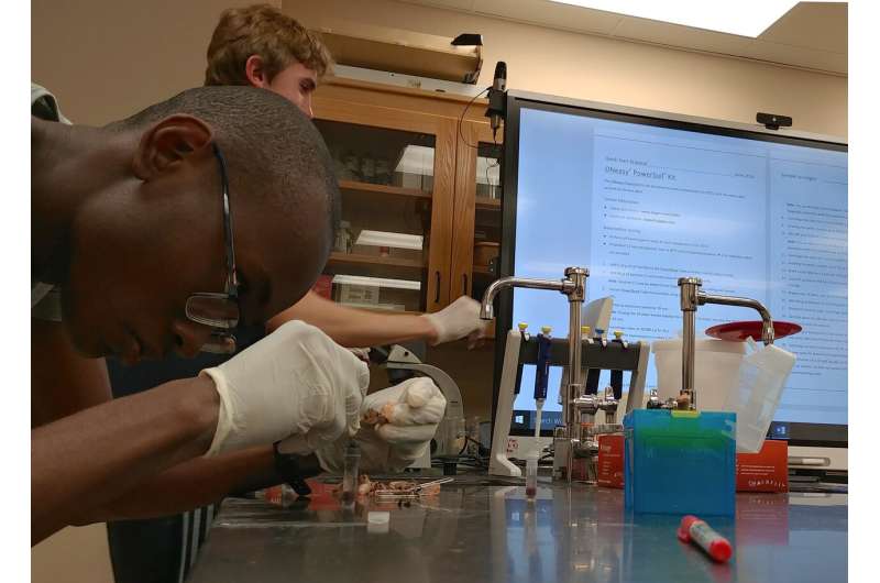Inspiring STEM careers through a hands-on Everglades microbiome study