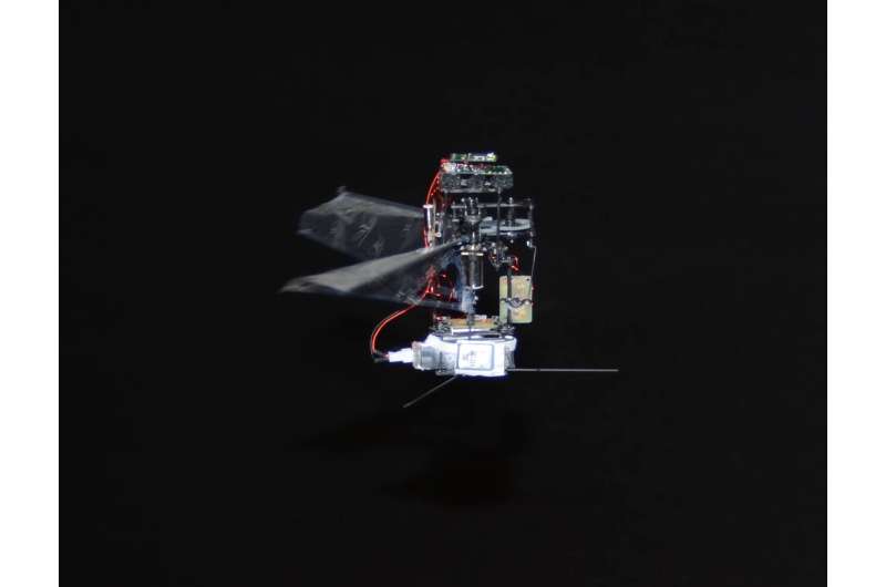KUBeetle-S: An insect-inspired robot that can fly for up to 9 minutes