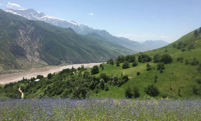 Making the case for conserving Tajikistan’s fruit-and-nut forests