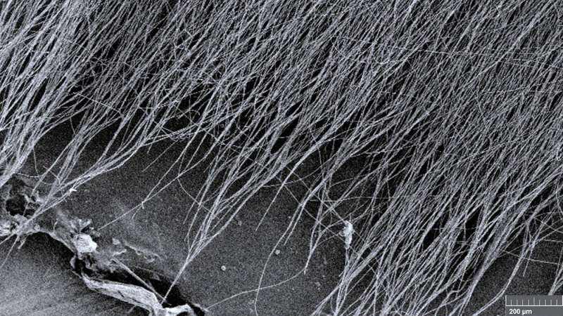 Mats made from nanofibers linked to a red wine chemical could help prevent oxidation