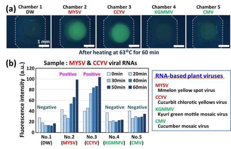 Microfluidic chip technology enables rapid multiplex diagnosis of plant viral diseases